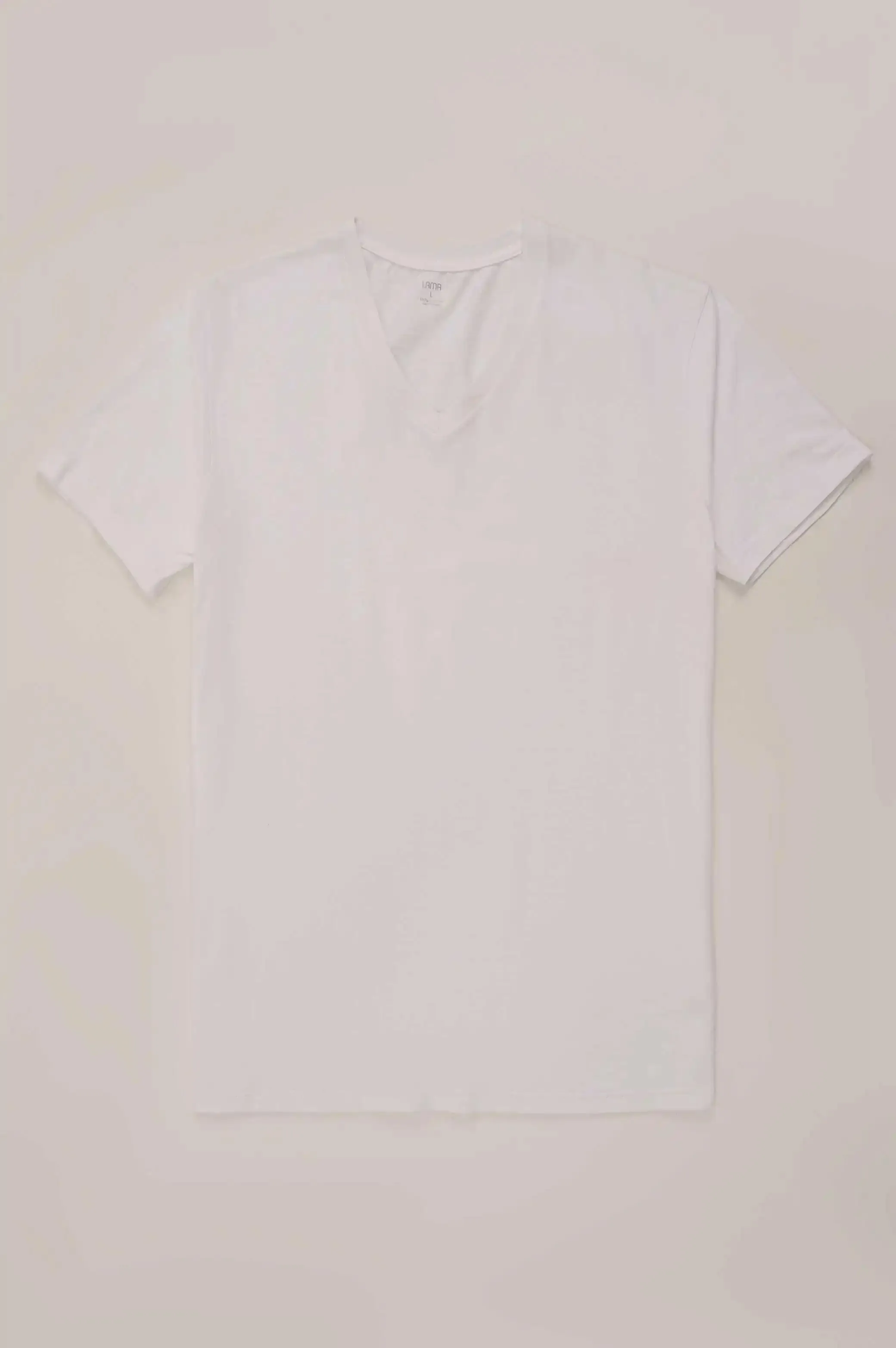 BASIC V NECK T-SHIRT
